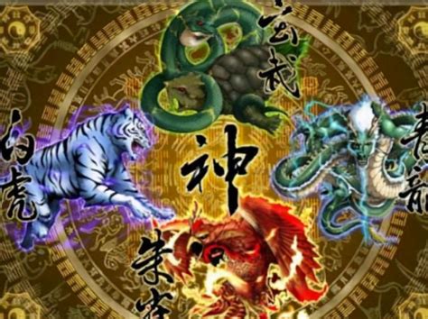 左清龍|好多人都把「左青龍、右白虎、前朱雀、後玄武」的應用搞錯了！。